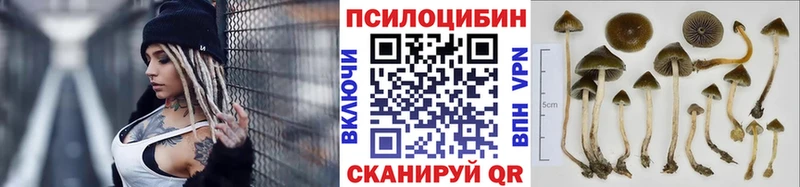 Псилоцибиновые грибы мухоморы  Ардон 