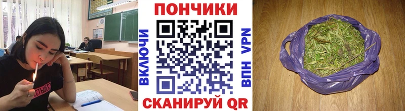 Канабис сатива  маркетплейс какой сайт  Ардон 